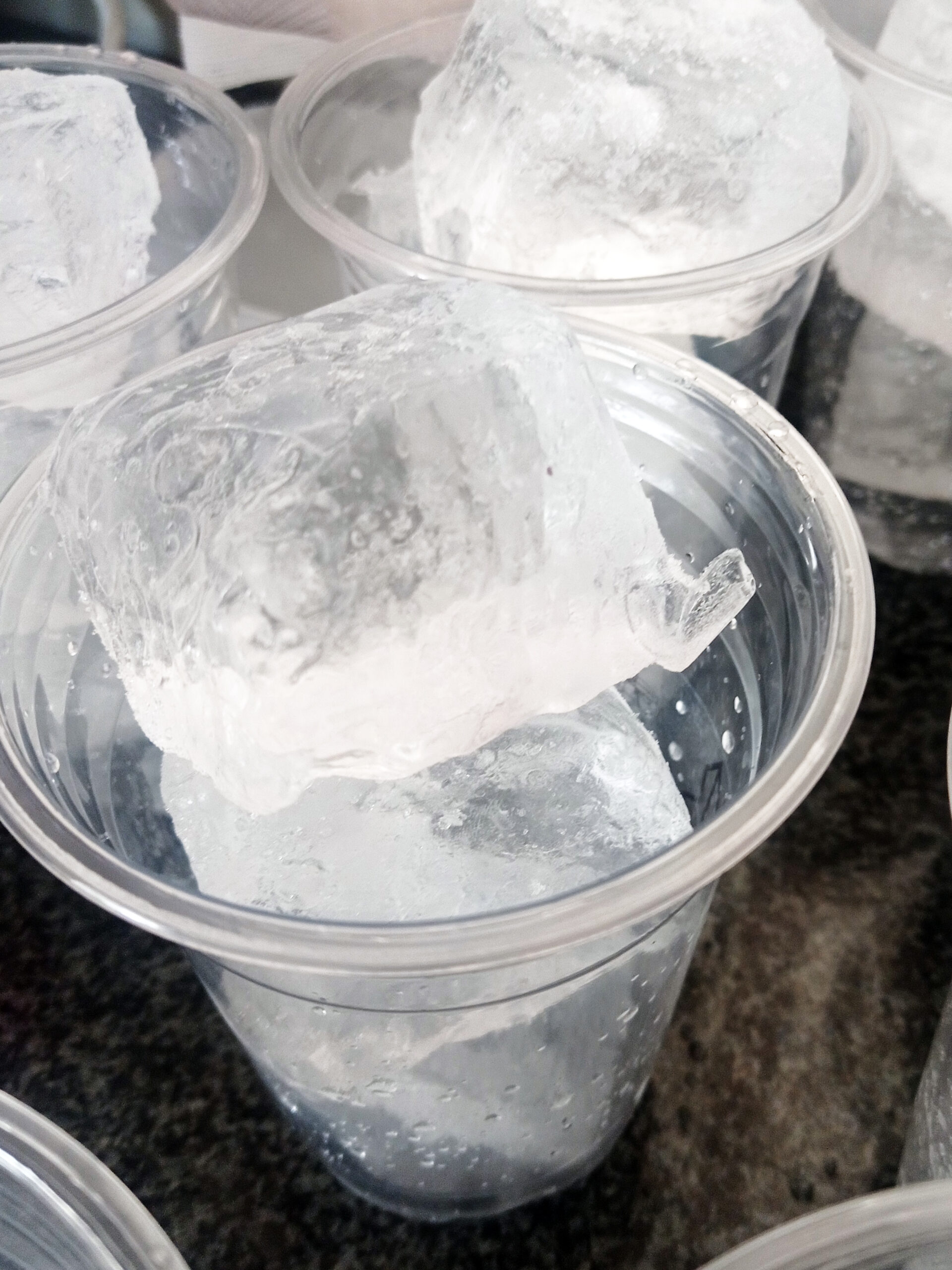 Our Ice Cups - Blok Ice